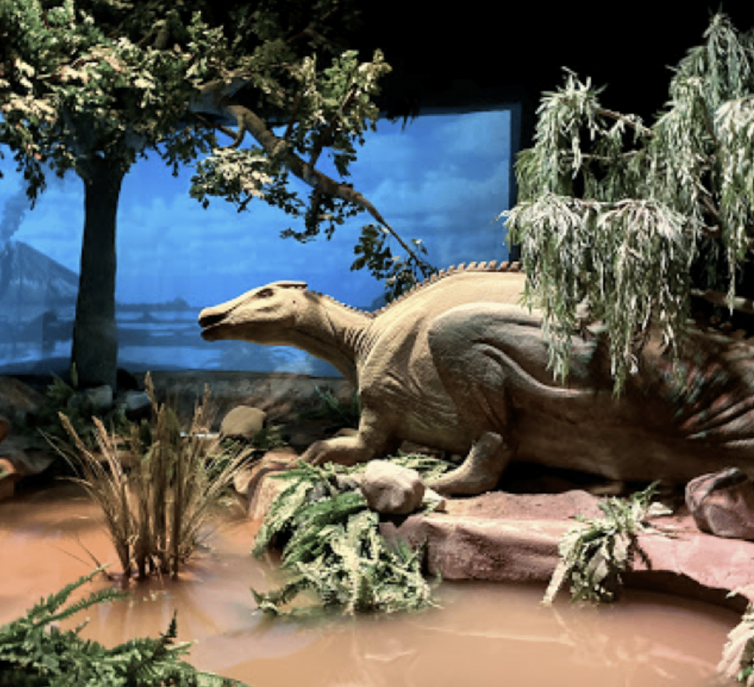 معرض الديناصورات